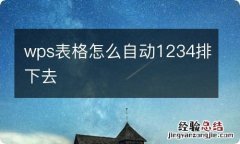 wps表格怎么自动1234排下去