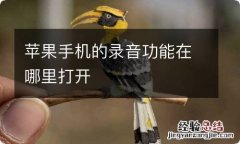 苹果手机的录音功能在哪里打开