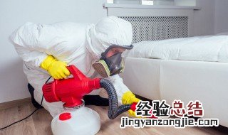 睡觉时喷了杀虫剂 喷完杀虫剂睡觉怎么办