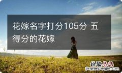 花嫁名字打分105分 五得分的花嫁