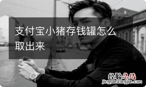 支付宝小猪存钱罐怎么取出来