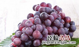 梦见葡萄什么意思一串串的大葡萄 梦见葡萄