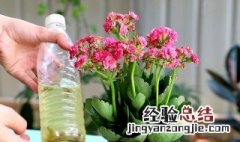 怎么做开花营养水浇花 怎么做开花营养水