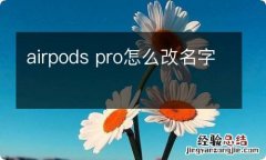 airpods pro怎么改名字