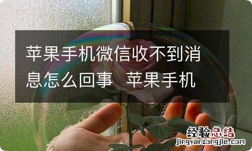 苹果手机微信收不到消息怎么回事苹果手机微信收不到消息为什么