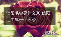 信阳毛尖是什么茶 信阳毛尖属于什么茶