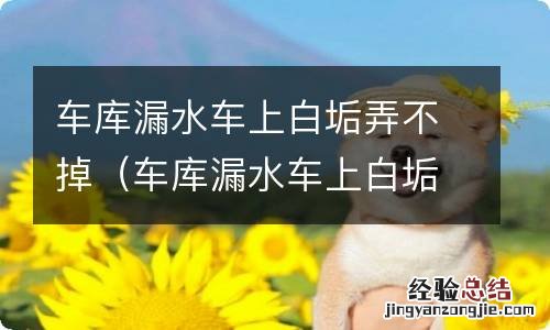 车库漏水车上白垢弄不掉怎么办 车库漏水车上白垢弄不掉