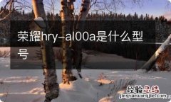 荣耀hry-al00a是什么型号