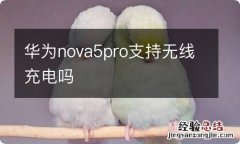 华为nova5pro支持无线充电吗