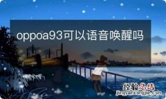 oppoa93可以语音唤醒吗