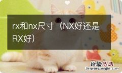 NX好还是RX好 rx和nx尺寸