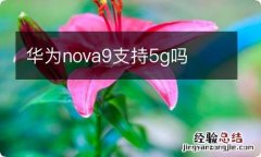 华为nova9支持5g吗