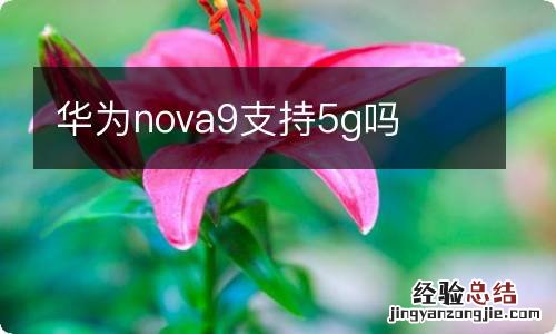 华为nova9支持5g吗