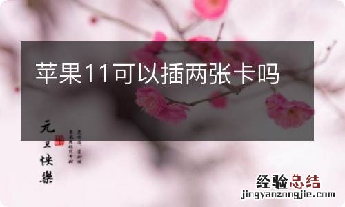 苹果11可以插两张卡吗
