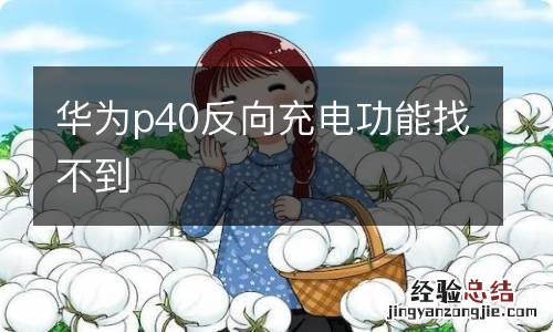 华为p40反向充电功能找不到