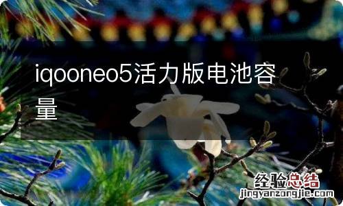 iqooneo5活力版电池容量