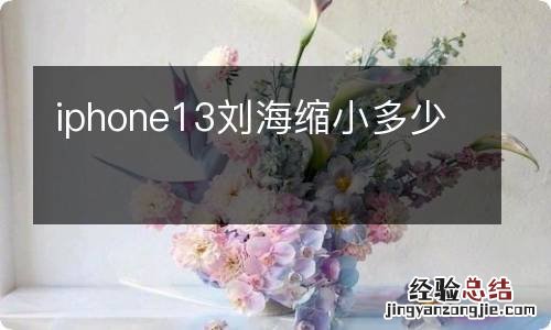 iphone13刘海缩小多少