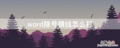 word除号横线怎么打 如何打出除号那个横线