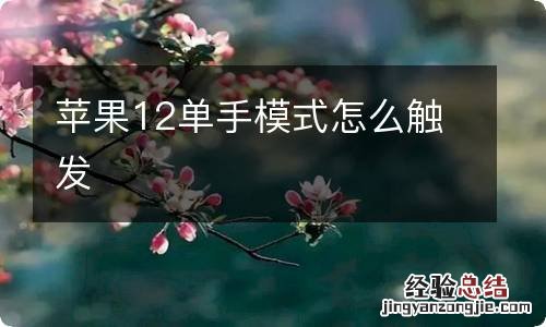 苹果12单手模式怎么触发