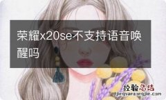 荣耀x20se不支持语音唤醒吗