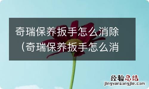 奇瑞保养扳手怎么消除视频 奇瑞保养扳手怎么消除