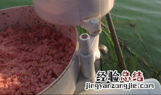 鲢鱼饵料制作方法 怎么做鲢鱼饵料配方