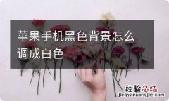 苹果手机黑色背景怎么调成白色