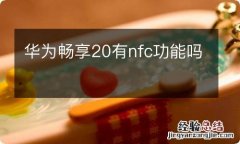 华为畅享20有nfc功能吗