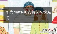 华为mate40支持66w快充吗