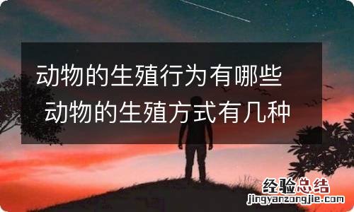 动物的生殖行为有哪些 动物的生殖方式有几种