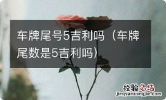 车牌尾数是5吉利吗 车牌尾号5吉利吗