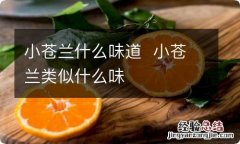 小苍兰什么味道小苍兰类似什么味