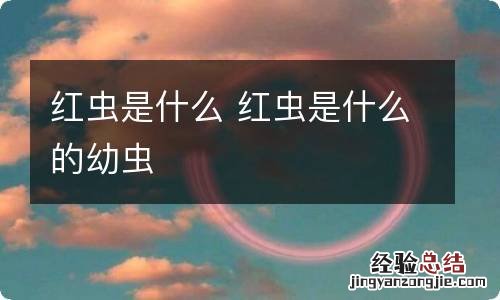 红虫是什么 红虫是什么的幼虫