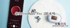 华为freebuds pro2 华为FreeBuds