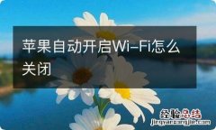 苹果自动开启Wi-Fi怎么关闭