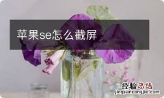 苹果se怎么截屏