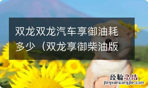 双龙享御柴油版油耗多少 双龙双龙汽车享御油耗多少