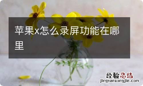 苹果x怎么录屏功能在哪里