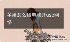 苹果怎么给电脑开usb网络