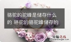 骆驼的驼峰是储存什么的 骆驼的骆驼峰储存的是什么