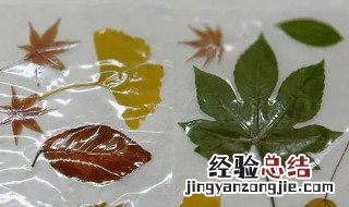 怎样能把一片树叶永久的保存起来 怎样能把一片树叶永久的保存起来英语