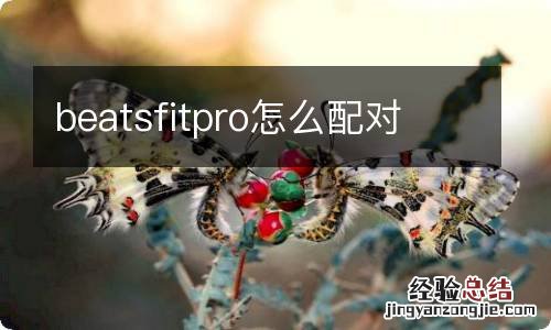 beatsfitpro怎么配对