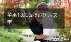 苹果13怎么提取图片文字