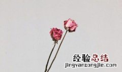 38妇女节经典祝福发朋友圈 38妇女节经典祝福