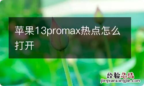 苹果13promax热点怎么打开