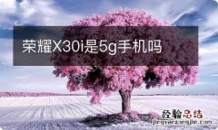 荣耀X30i是5g手机吗