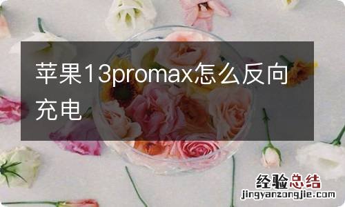 苹果13promax怎么反向充电