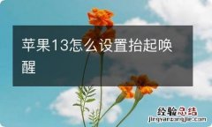 苹果13怎么设置抬起唤醒