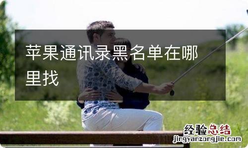 苹果通讯录黑名单在哪里找