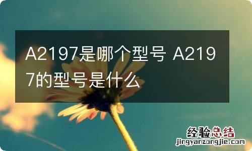 A2197是哪个型号 A2197的型号是什么